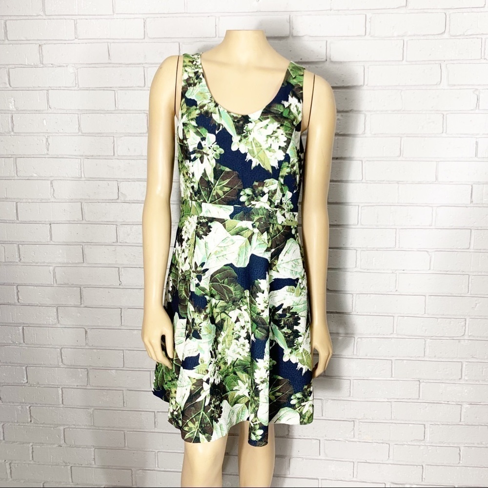 Cynthia Steffe Sleeveless Garden Print Dress‎